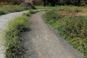 Abandono del Parque de las Mil Palmeras del Valle de Jinámar/TA.